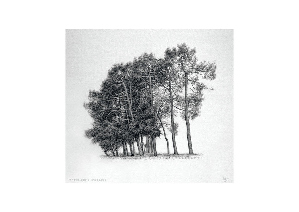 Pines – N41°51.592’ E 002°59.866’ (A4)