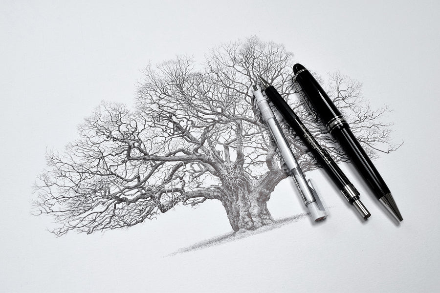 GPS Trees. Tree drawings by Richard Geraint Evans – GPS TREES