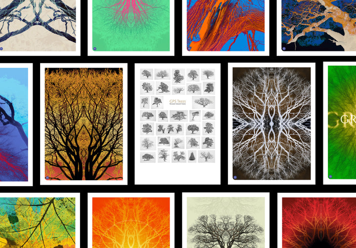 GPS Trees. Tree drawings by Richard Geraint Evans – GPS TREES