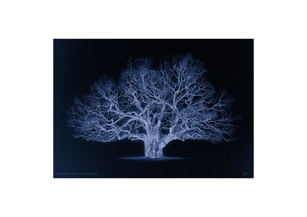 Oak – N 51°27.044’ W 000°16.783’ Duotone Blue (A3)