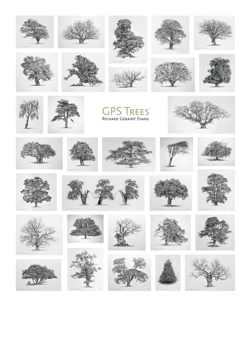 GPS Trees RGE