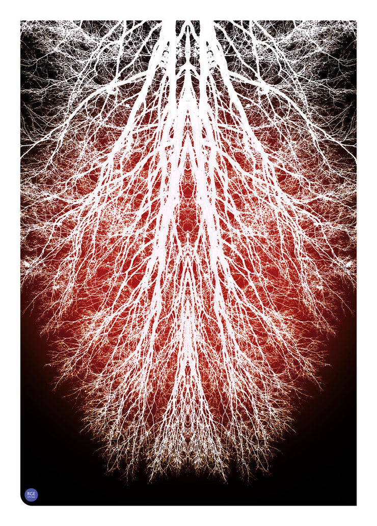 Posters – GPS TREES