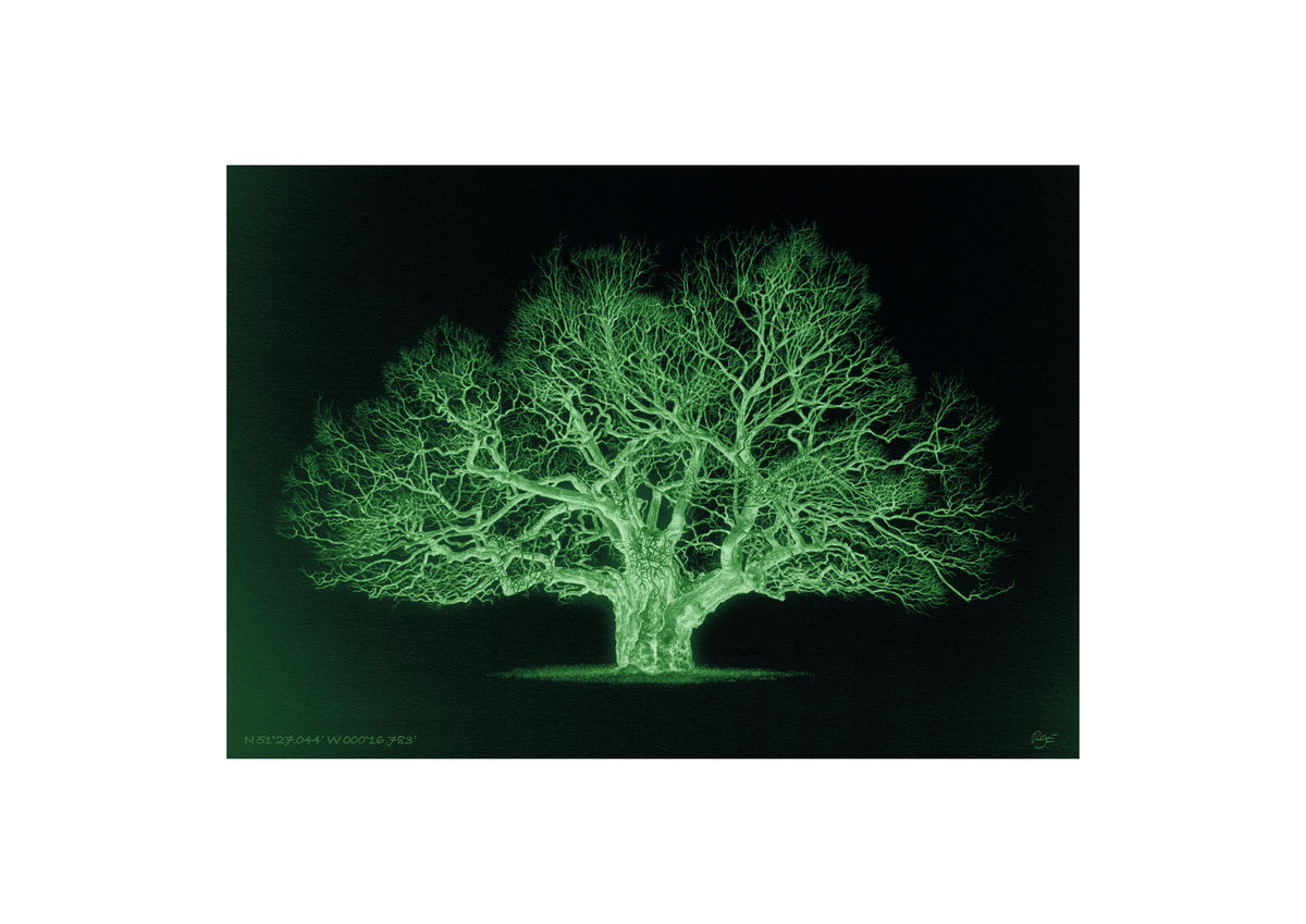 Oak – N 51°27.044’ W 000°16.783’ Duotone Green (A3)
