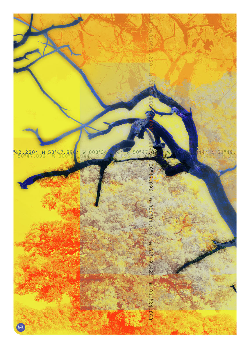 Posters – GPS TREES
