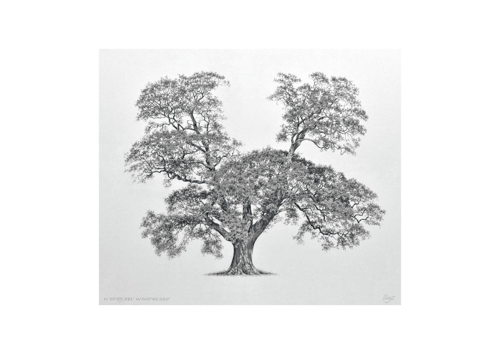 Oak – N 50°59.581’ W 000°42.220’ (A4)