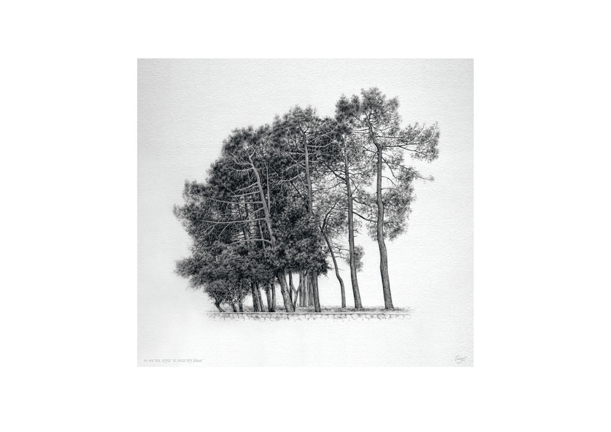 Pines – N41°51.592’ E 002°59.866’ (A3)